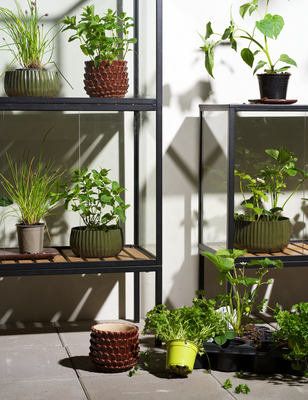 Grower Greens Plant cabinet Black