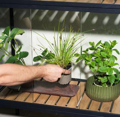 Grower Greens Plant cabinet Black
