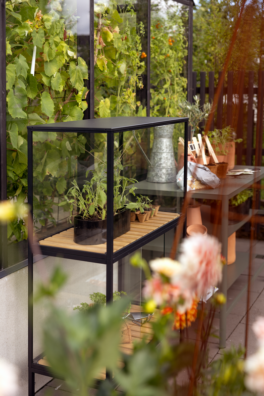 Grower Greens Plant cabinet Black