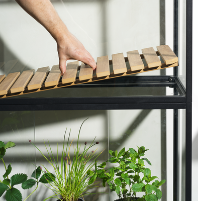 Grower Greens Plant cabinet Black