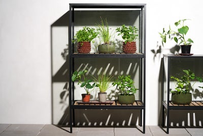 Grower Greens Plant cabinet Black